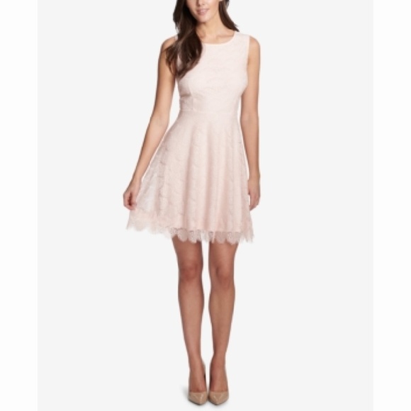Kensie Dresses & Skirts - Kensie Fan Lace Fit & Flare Dress